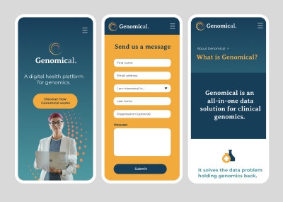 UX Audit for Pitcher Partners